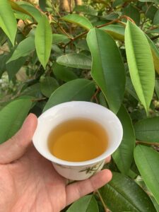 Khám phá 7 lợi ích tuyệt vời của trà ô long