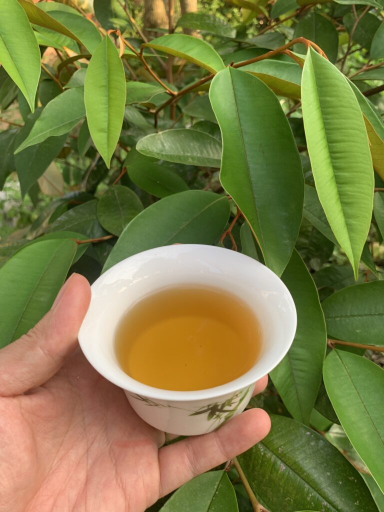 Khám phá 7 lợi ích tuyệt vời của trà ô long